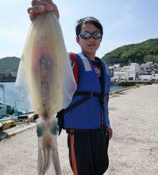 少年ヤエン師がキロアップ！工場裏アオリ釣果