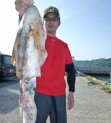 神谷一文字　ヤエンでアオリイカ〜1.7kgの釣果