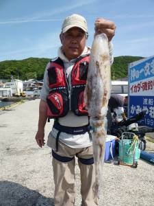 神谷一文字　ヤエンでアオリイカ〜1.7kgの釣果