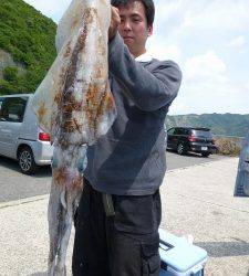 神谷一文字　ヤエンでアオリイカ〜2.6kgの釣果