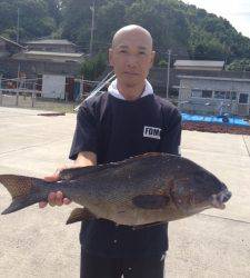 萩尾の磯　フカセでグレ〜36cm8尾　底物釣りでコロダイ64cm