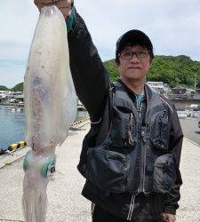 工場裏でのヤエン、アオリイカ釣果★1.1kg★