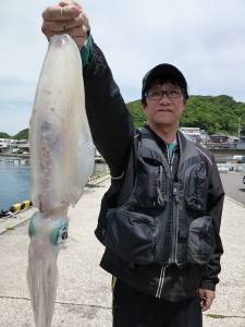 工場裏でのヤエン、アオリイカ釣果★1.1k…