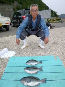 グレ、カワハギなど色々釣れました！神谷カゴ…