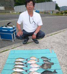 グレ、カワハギなど色々釣れました！神谷カゴ釣り釣果