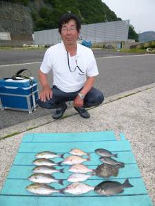 グレ、カワハギなど色々釣れました！神谷カゴ釣り釣果