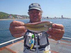 須磨海づり公園【投げ釣り】での釣果☆