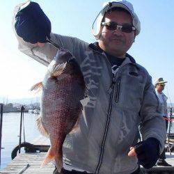 田尻の釣り堀　放流タイムにマダイ・シマアジがヒット！イサギも