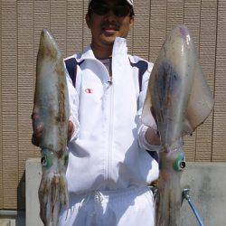 湯浅の磯 ウキ釣りでアオリイカ〜1.94kg