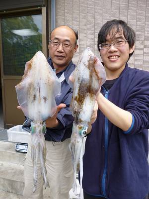 湯浅の磯 ヤエンでアオリイカ〜1.2kgの…