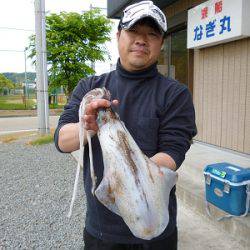 湯浅の磯 ヤエンでアオリイカ〜1.2kgの釣果
