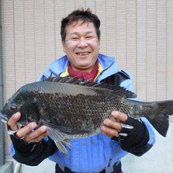 湯浅の磯 フカセでチヌ〜50.5cm