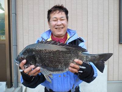 湯浅の磯 フカセでチヌ〜50.5cm