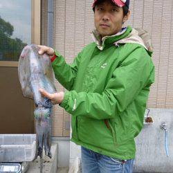 湯浅の磯　ヤエンでアオリイカ〜1.97kg