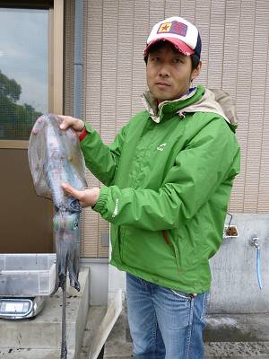 湯浅の磯　ヤエンでアオリイカ〜1.97kg…