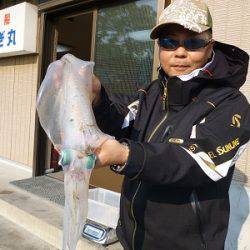湯浅の磯 エギングでアオリイカ〜1.09kg