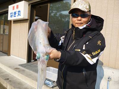 湯浅の磯 エギングでアオリイカ〜1.09kg
