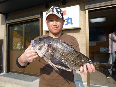 湯浅の磯 フカセで年無しチヌ51cm
