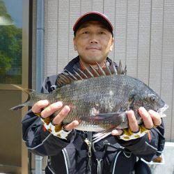 湯浅の磯 チヌフカセ釣りの釣果