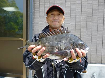 湯浅の磯 チヌフカセ釣りの釣果