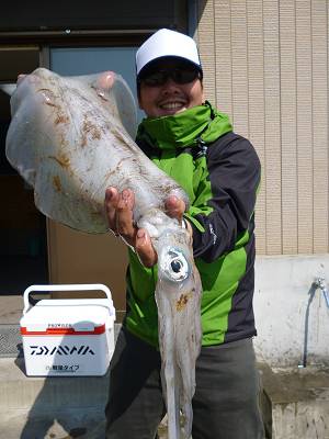 湯浅の磯　ヤエン＆エギングでアオリイカ2k…