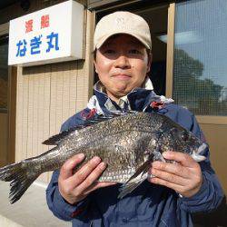 湯浅の磯 チヌフカセ釣りの釣果