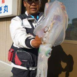 〜本日もキロアップ〜湯浅磯でヤエン仕掛け