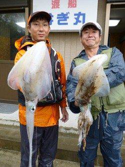 湯浅でヤエン、胴長37.5cmのアオリＧＥＴ！