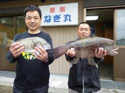 フカセでチヌ・カンダイ！！ 〜湯浅での釣果…