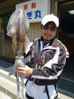 湯浅の磯でヤエン釣り、2キロのアオリも釣れ…