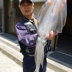 湯浅の磯でヤエン釣り、2キロのアオリも釣れました