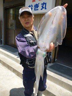 湯浅の磯でヤエン釣り、2キロのアオリも釣れました