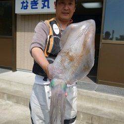 イカ　ウキ釣りも好調です！！〜湯浅の磯での釣果〜