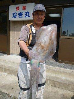 イカ　ウキ釣りも好調です！！〜湯浅の磯での釣果〜