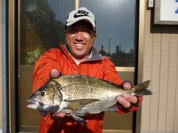 湯浅の磯でのオキアミフカセ・チヌの釣果