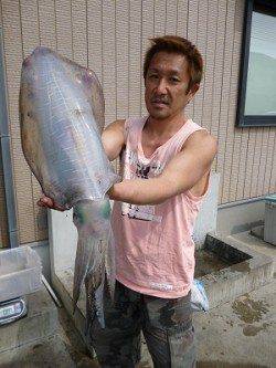 アオリイカ、キロアップ続々♪　湯浅の磯