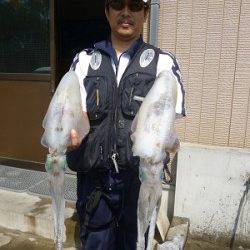 アジを使ってウキ釣り☆アオリ1.66kg〜☆