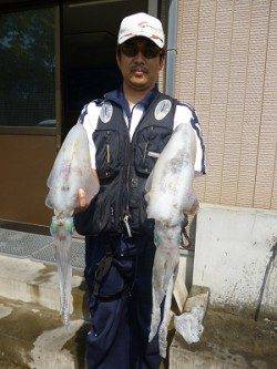 アジを使ってウキ釣り☆アオリ1.66kg〜☆