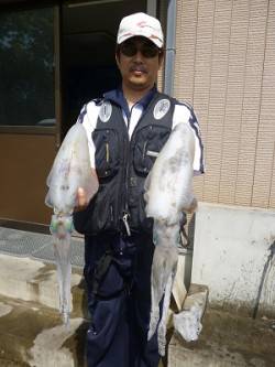 アジを使ってウキ釣り☆アオリ1.66kg〜…