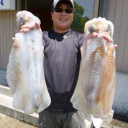 あと少しで3kgアップ、ヤエン好調　湯浅エリア