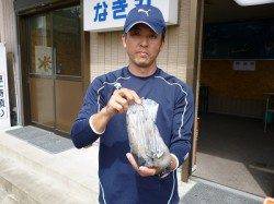 湯浅の磯でのエギング、オレンジ＆ブルー系のエギでアオリＧＥＴ！