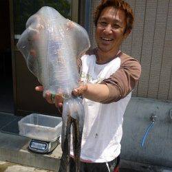 湯浅の磯、ヤエンでアオリ2杯ＧＥＴ！