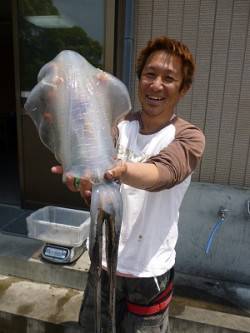 湯浅の磯、ヤエンでアオリ2杯ＧＥＴ！