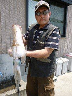 ヤエンでアオリ2kg UP ↑ ウキ釣りで60cmのマゴチが釣れました！