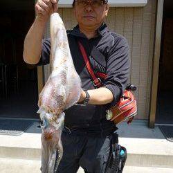 湯浅の磯、エギングで2キロアップのアオリの釣果も