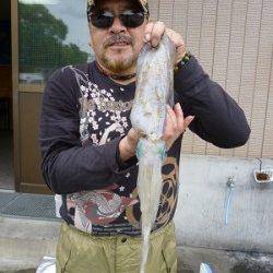 湯浅の磯でのエギング釣果です