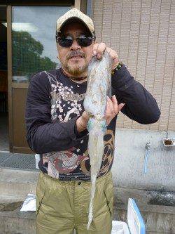 湯浅の磯でのエギング釣果です