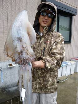 ハリス1号で2.98ｋｇ☆　湯浅の磯でのヤ…