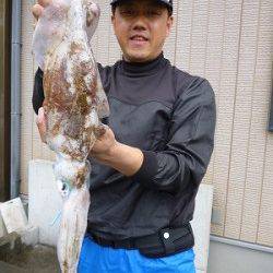 湯浅の磯でヤエン釣り好調！