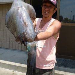 湯浅の磯でのヤエン　胴長40ｃｍ級アオリイカ